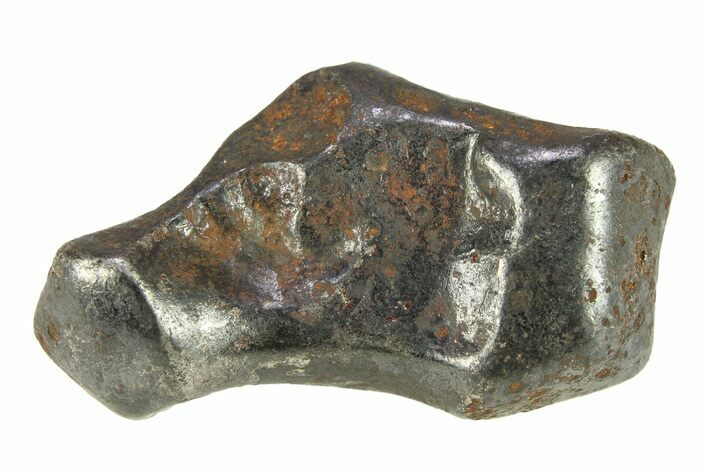 Fusion Crusted Sikhote-Alin Iron Meteorite ( g) - Russia #287857